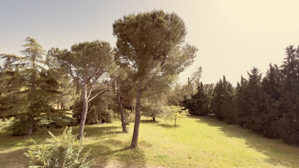 Property Image f5bc384b-e0dd-4b31-bce0-011e9e5a9bfb