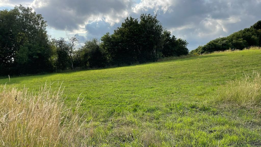 Property Image f5e06644-b724-442f-b7d1-6fa3330cbcea