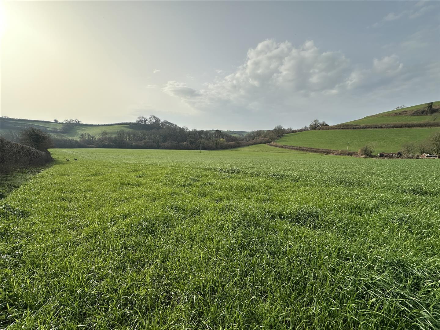 Property Image f60cd4c1-a319-45c1-b6bc-9d02e6eac4d1