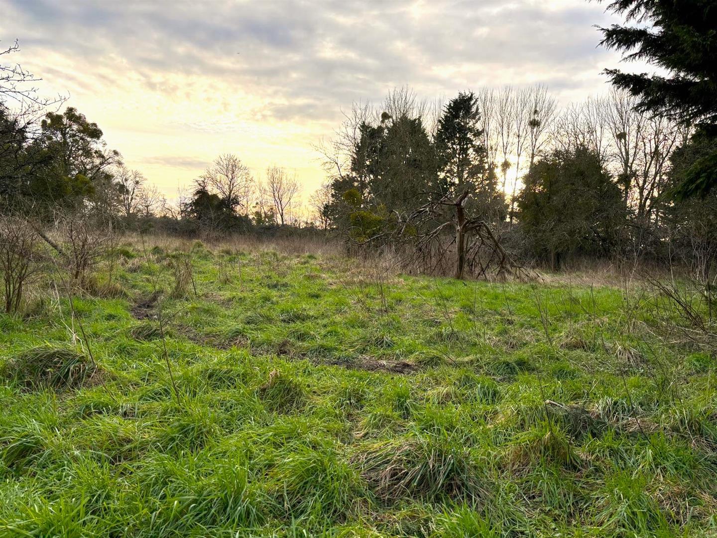 Property Image f651967a-5076-44bb-a1f0-b0430457b294