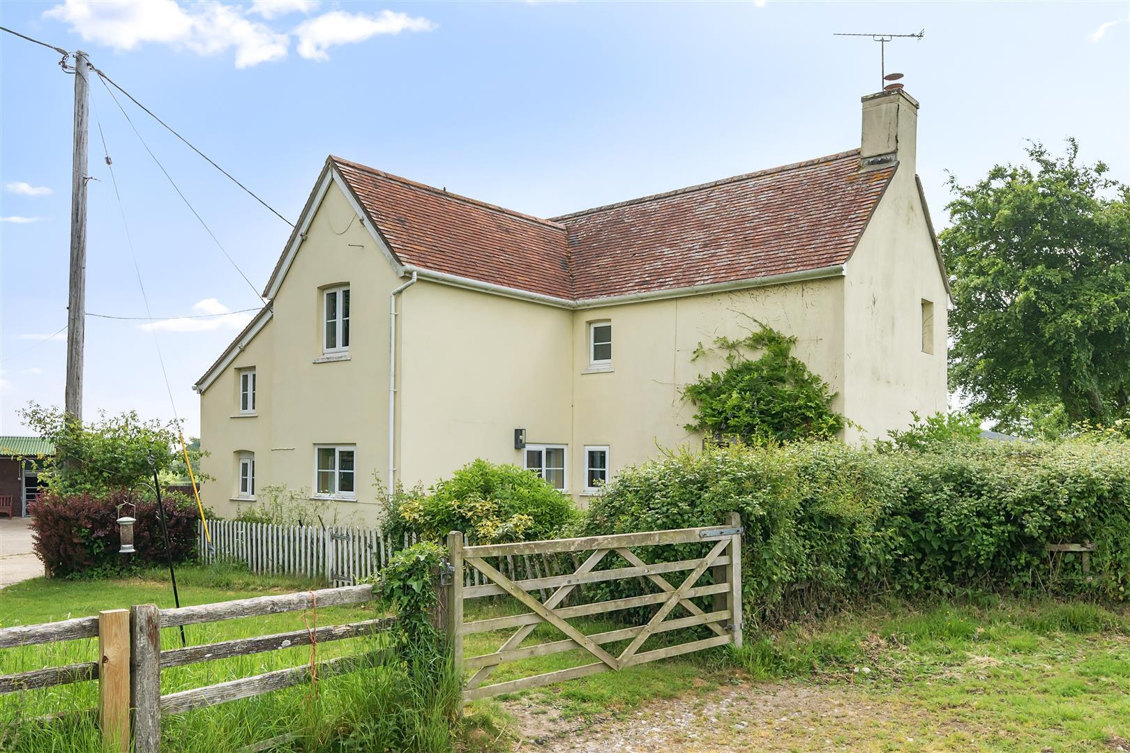 Image 20
