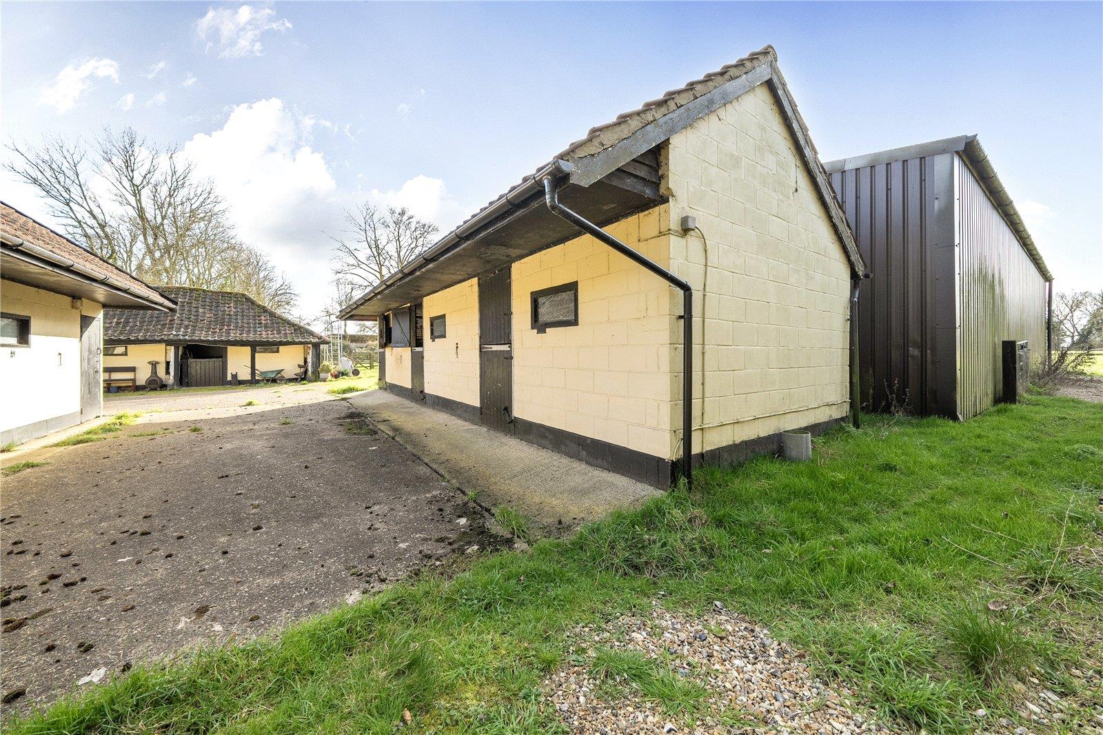 Image 20