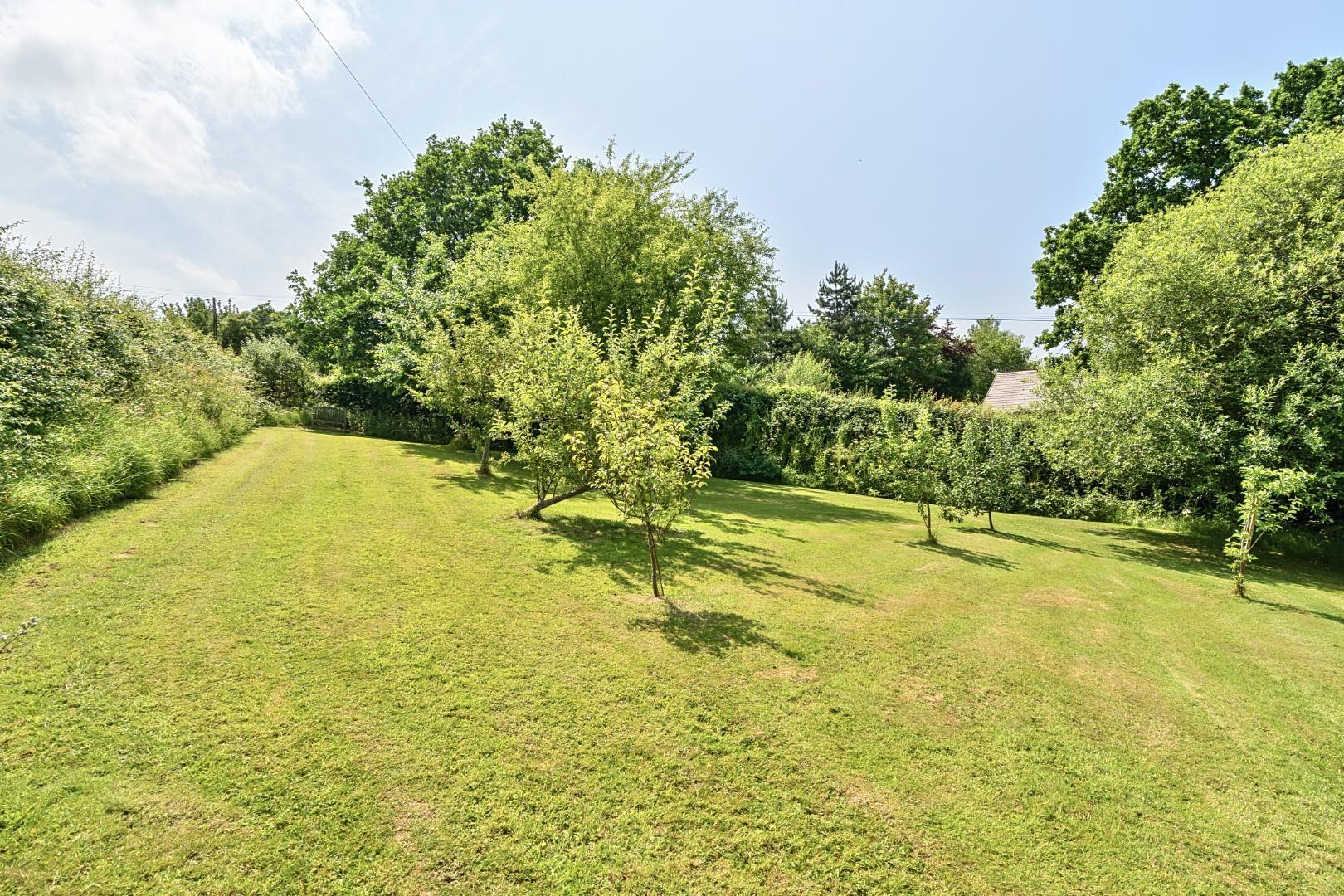 Property Image f676a77f-ac1d-43ab-b5bc-7d291430410e