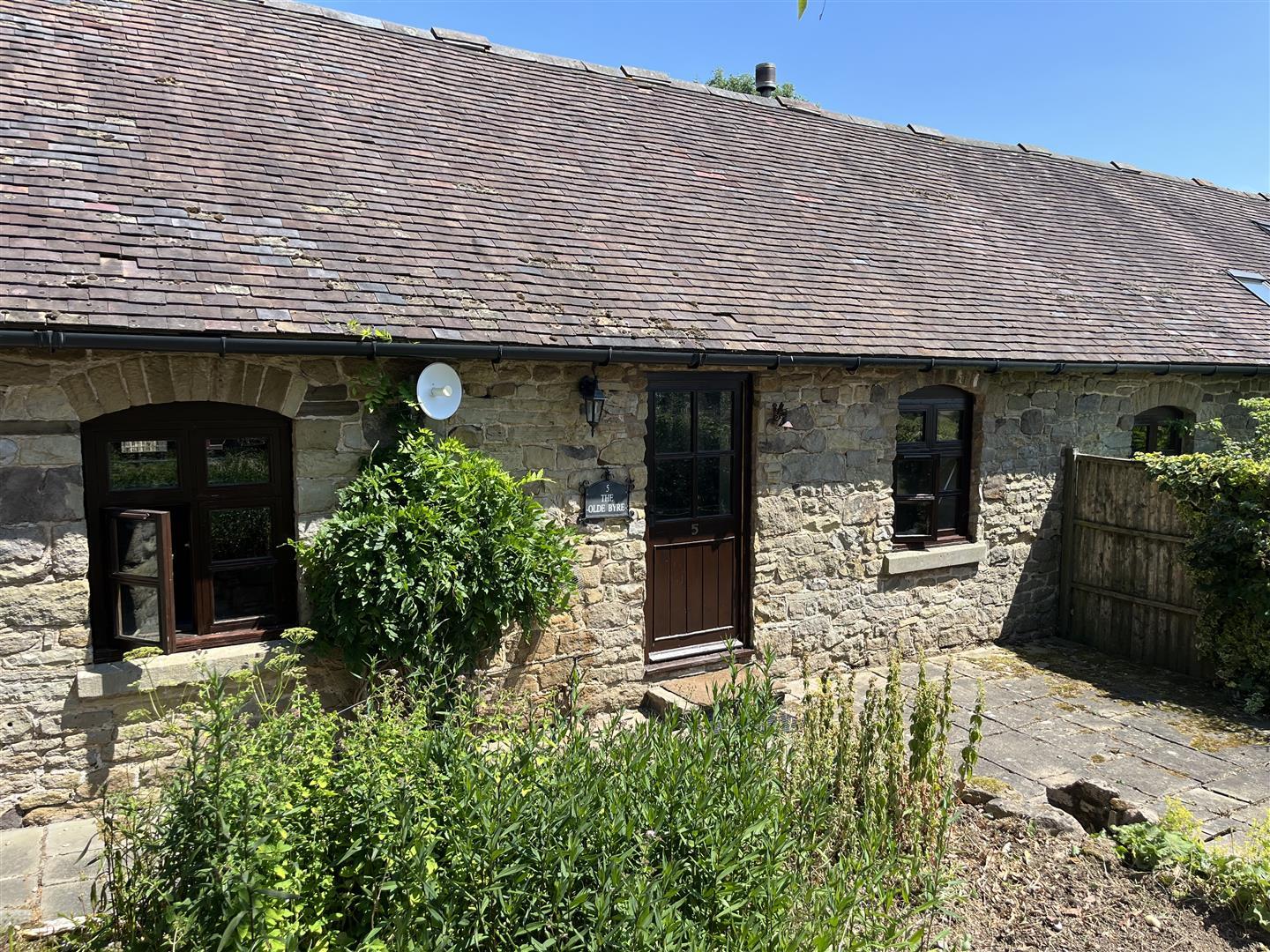 Image 10