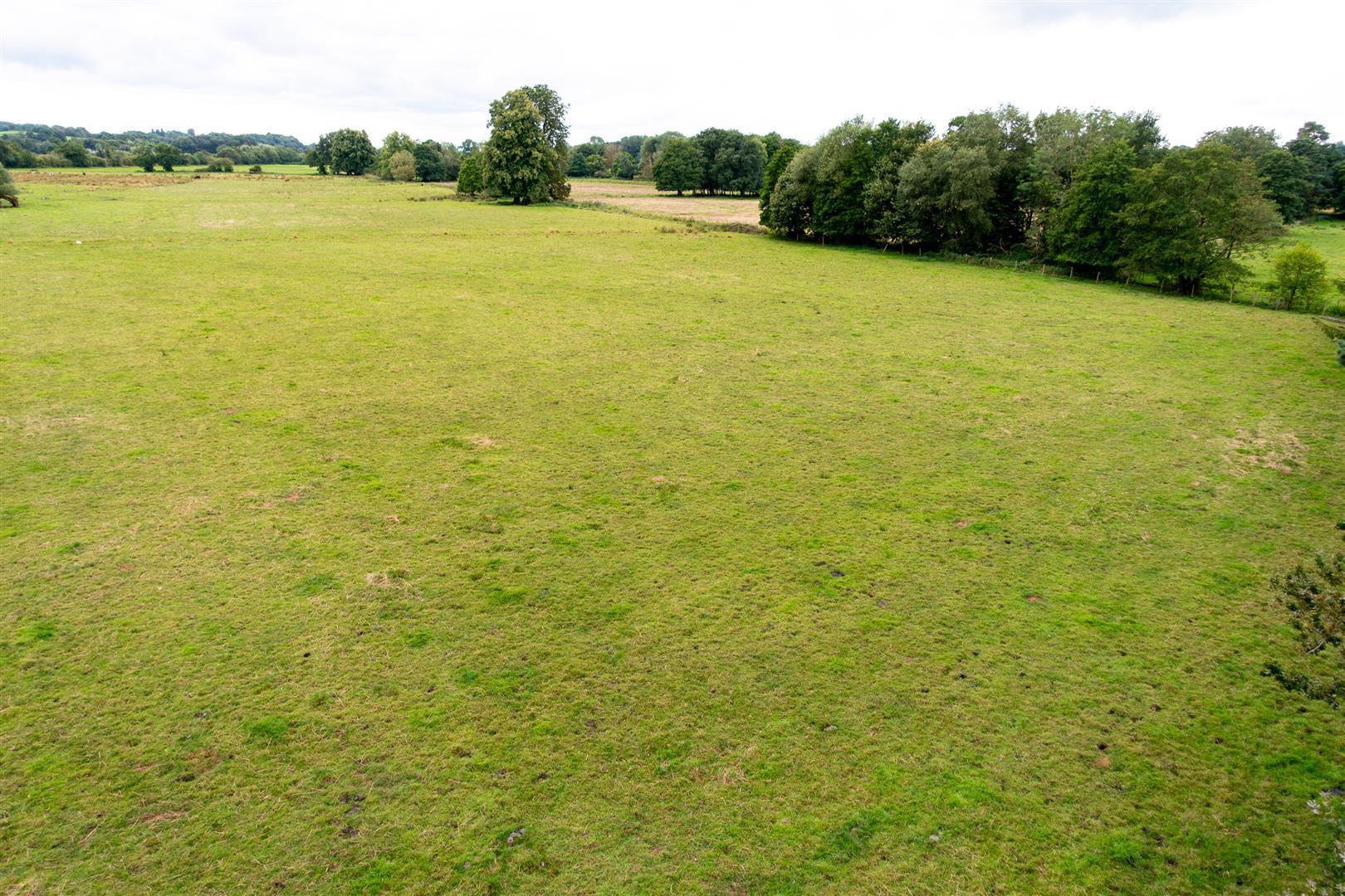 Property Image f68972b9-679e-4ae5-8240-de3e412548d9