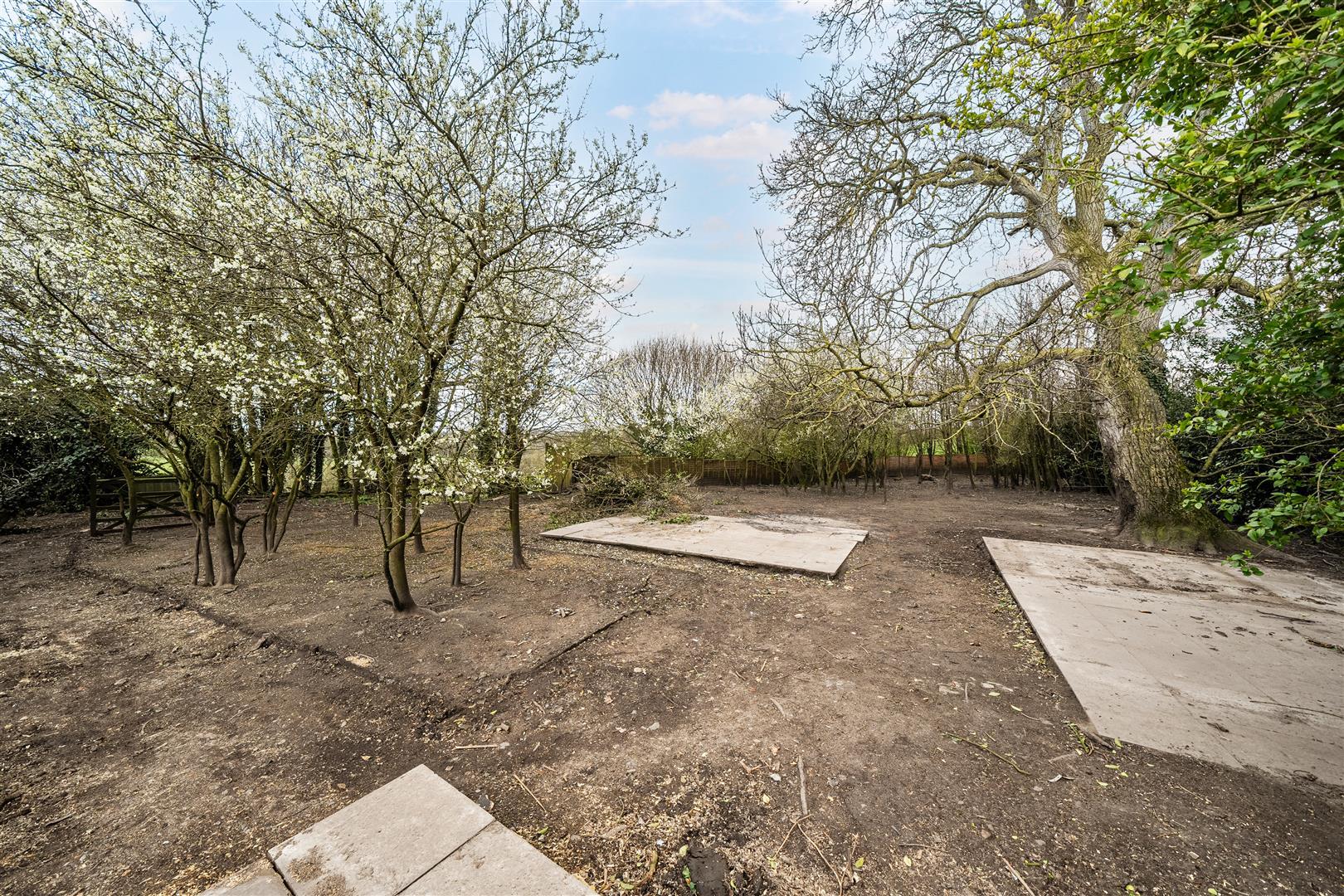 Property Image f6d81915-1b92-4e05-a830-1f488f23649b
