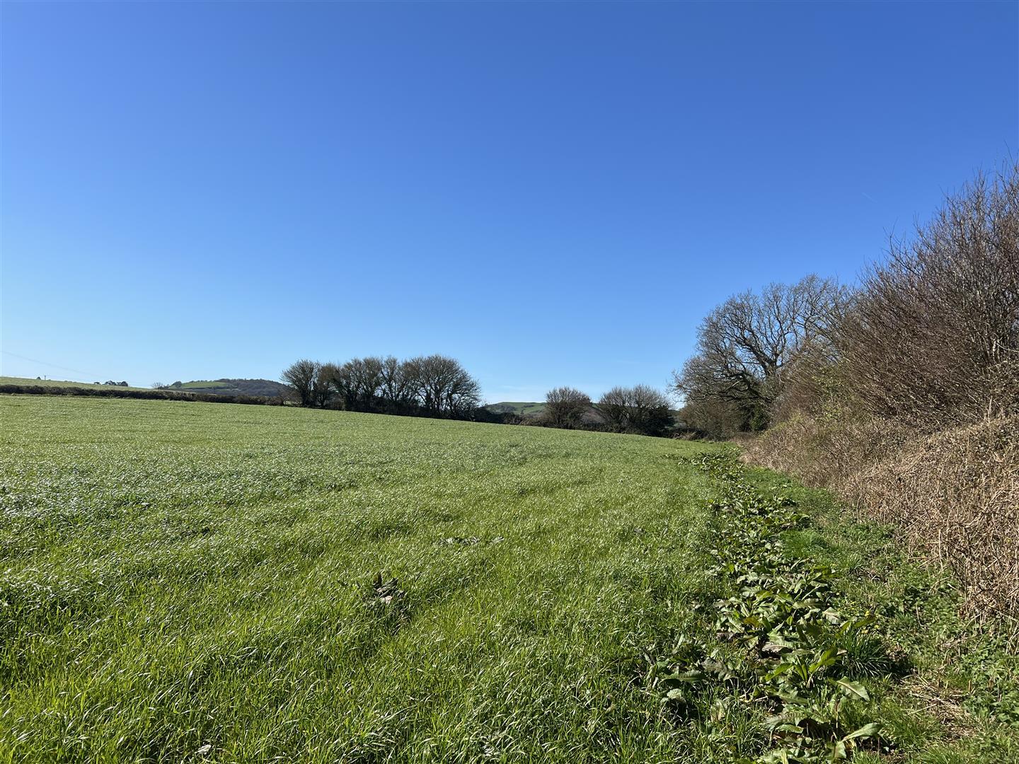 Property Image f738bd9a-503d-41db-a0f1-6b7bf456a59a