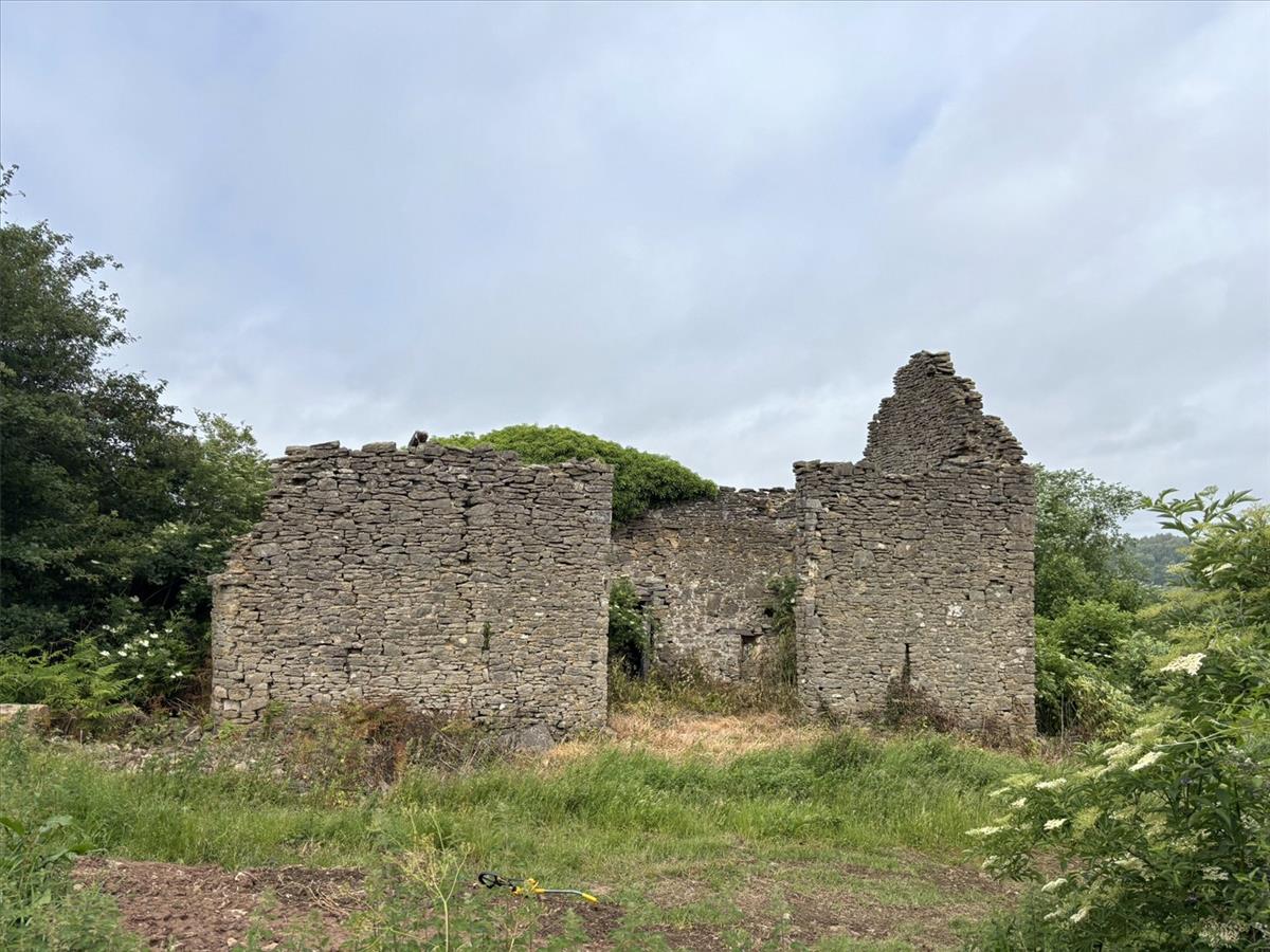Property Image f73c0872-f167-4af8-8fbd-2b926d36fb62