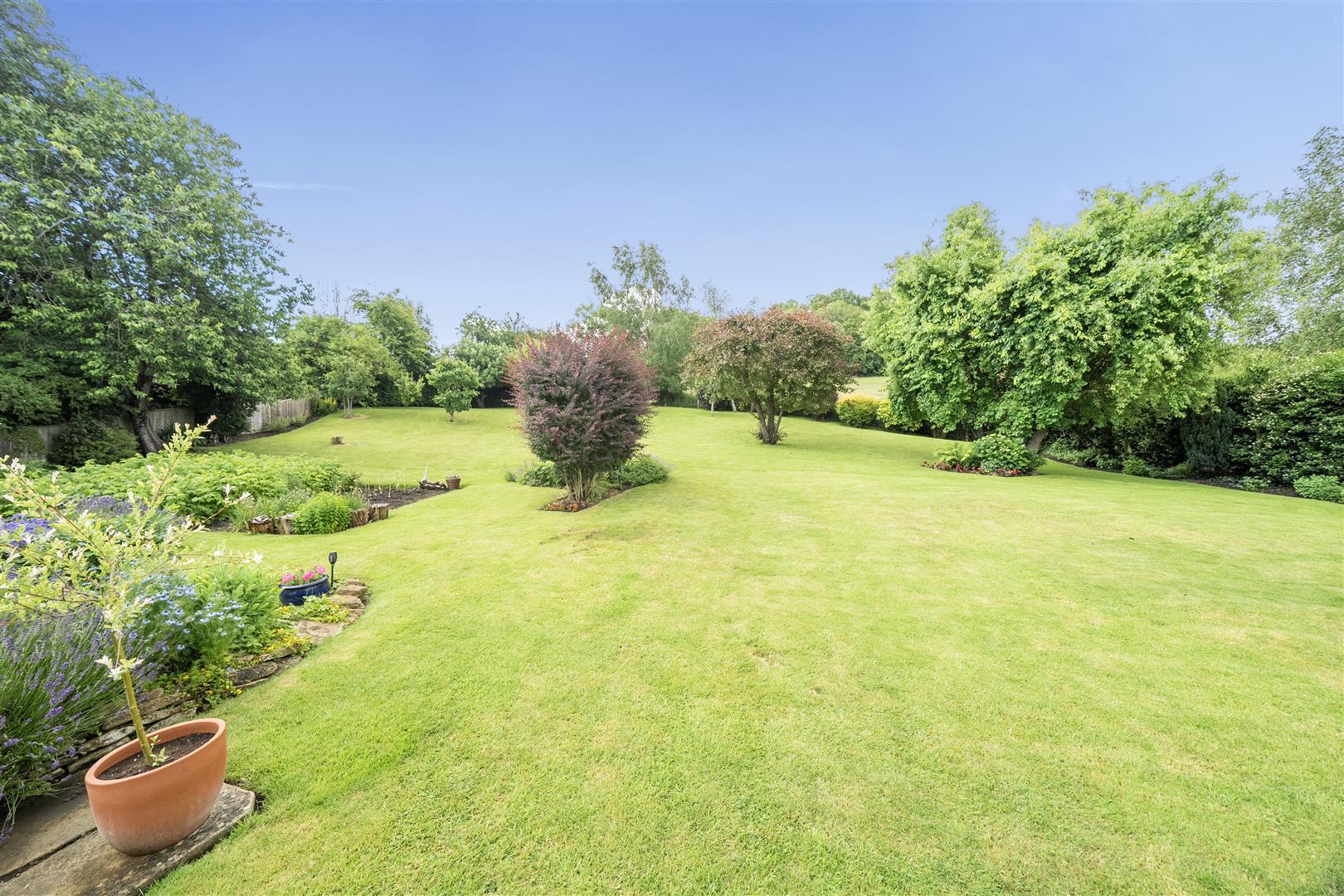 Property Image f766c0c7-6294-4afc-81a3-59e319691c42