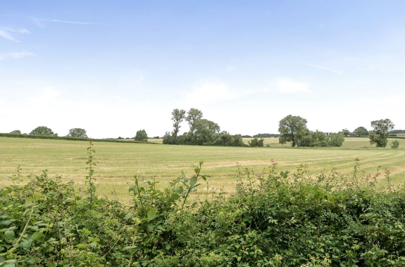Property Image f7872da0-ee7d-42b5-b76e-e4896fff1192