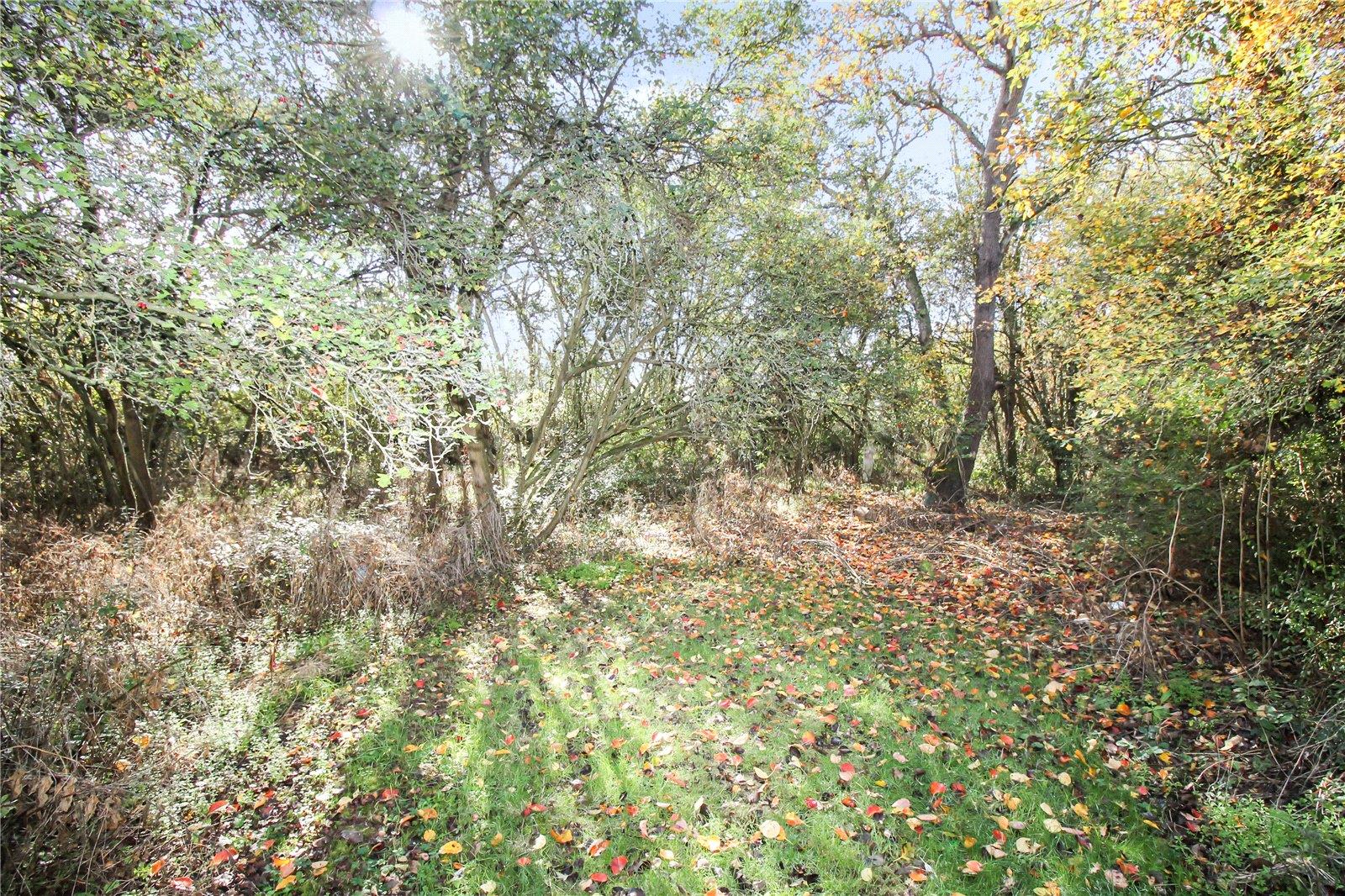 Property Image f7884d3b-6174-4a29-b285-e0d799d6d321