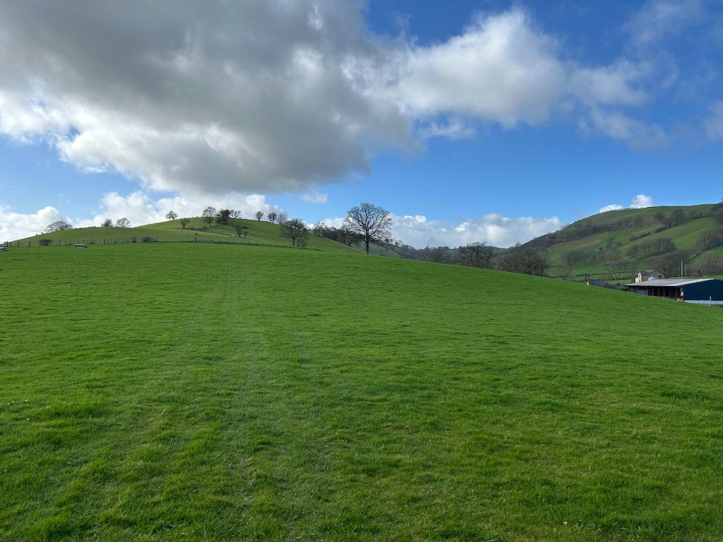 Property Image f7b023a0-b19b-40bc-b9b7-d0611e70b346