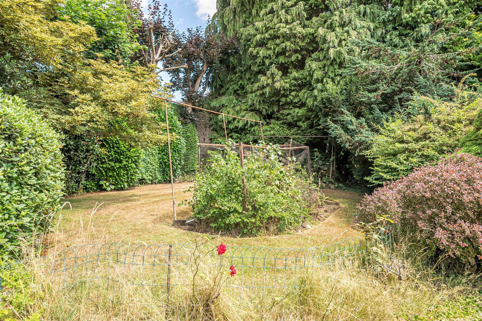 Property Image f7c75ef2-e0a8-4b92-914f-fc93e4d70346