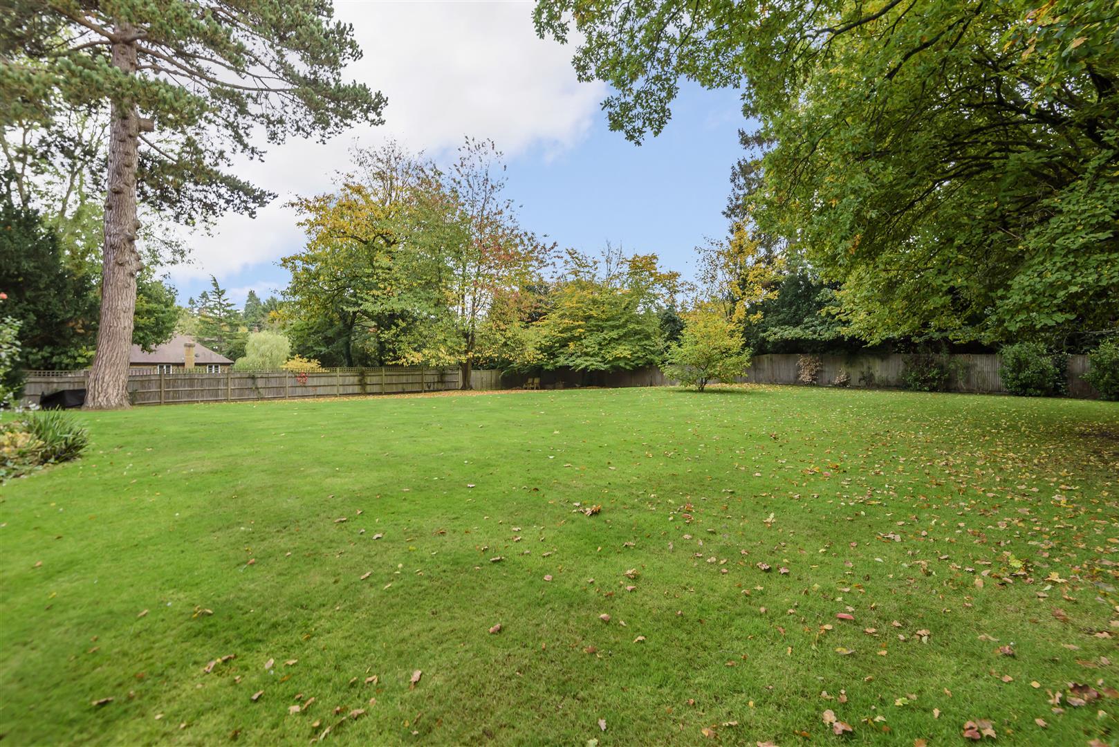 Property Image f818dad7-fadf-458b-ae4d-48624ad3db09