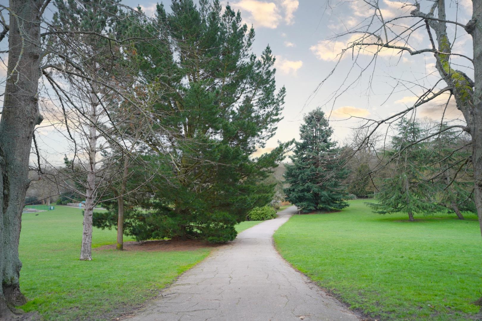 Property Image f81cfab6-8bb3-4bde-af4b-f9c8d6064589