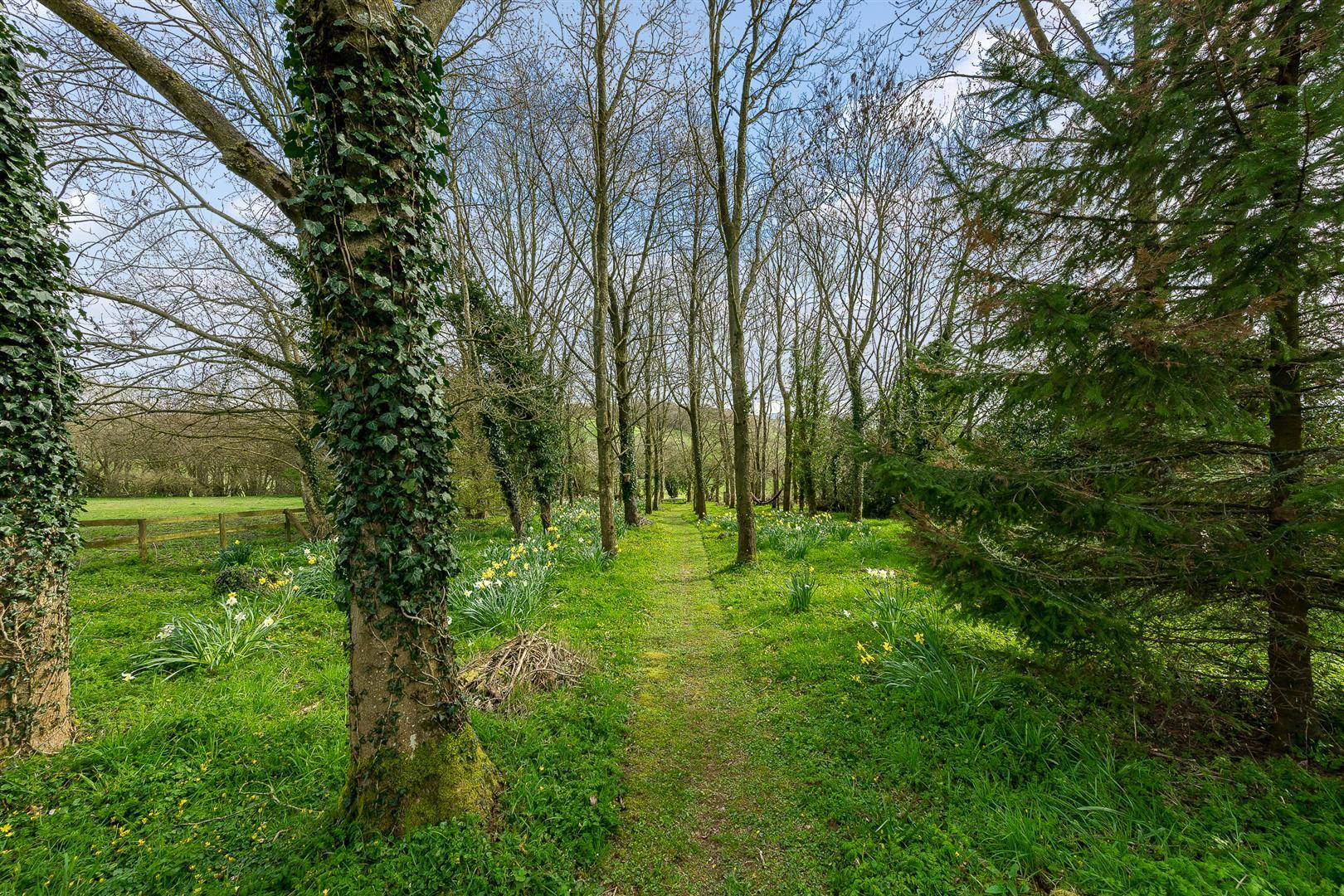 Property Image f86e578f-683b-45f5-a302-d5194828de9f