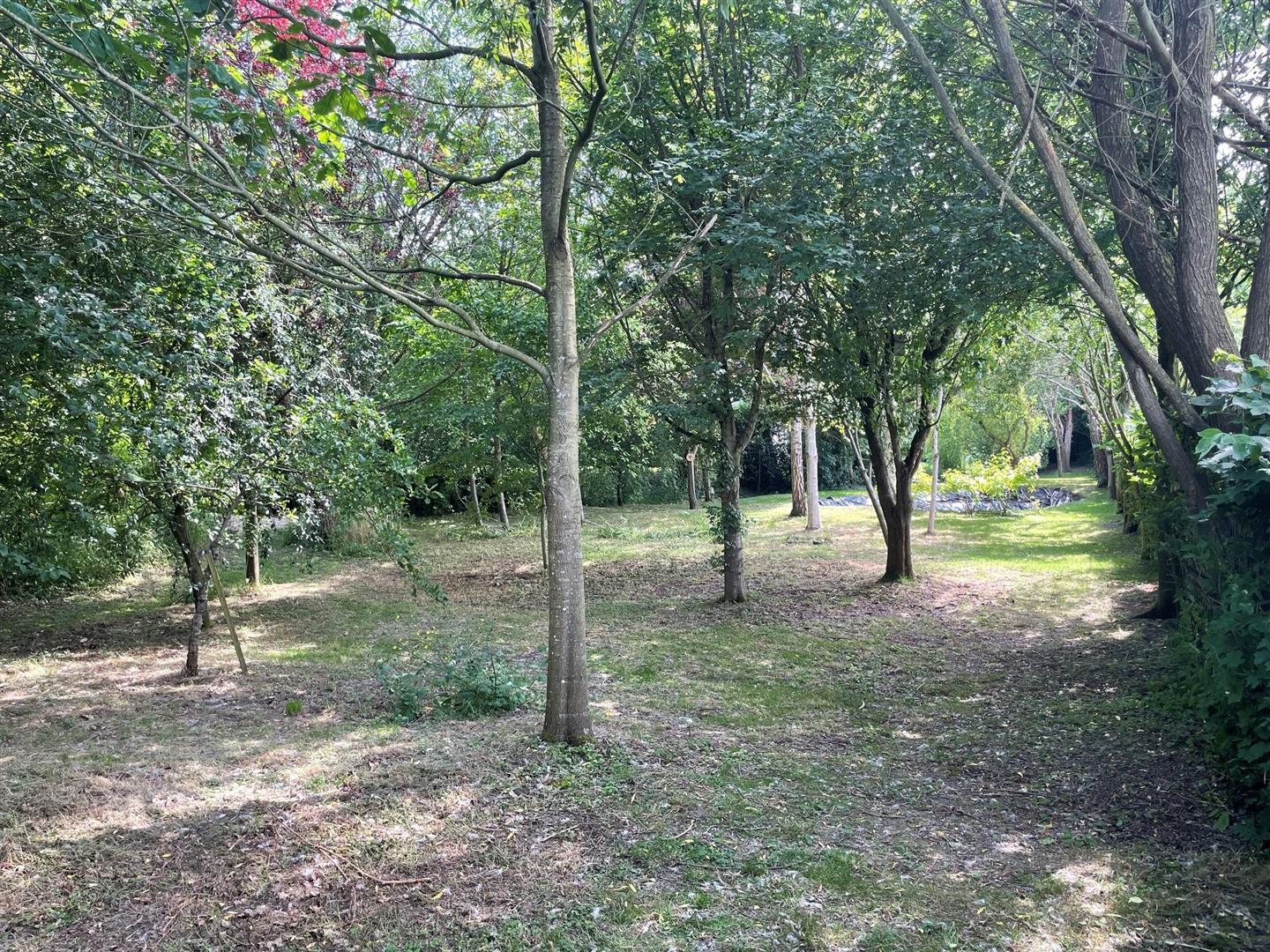 Image 29