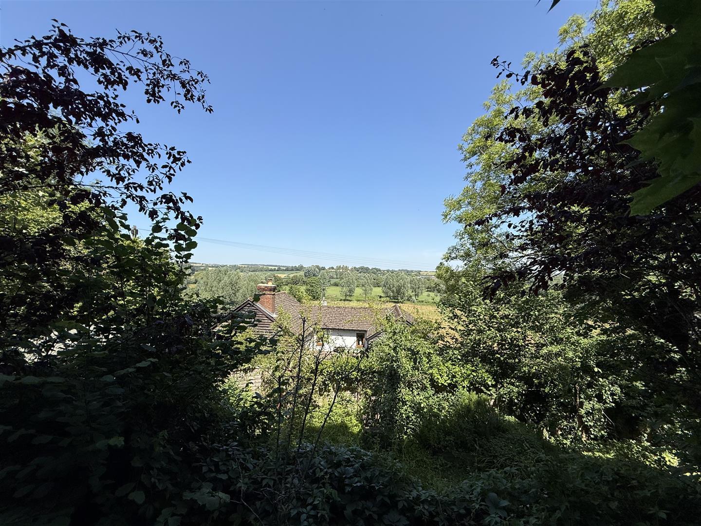Property Image f8fb7dd9-2f4f-4f8d-9a0a-140e24d6fdf6