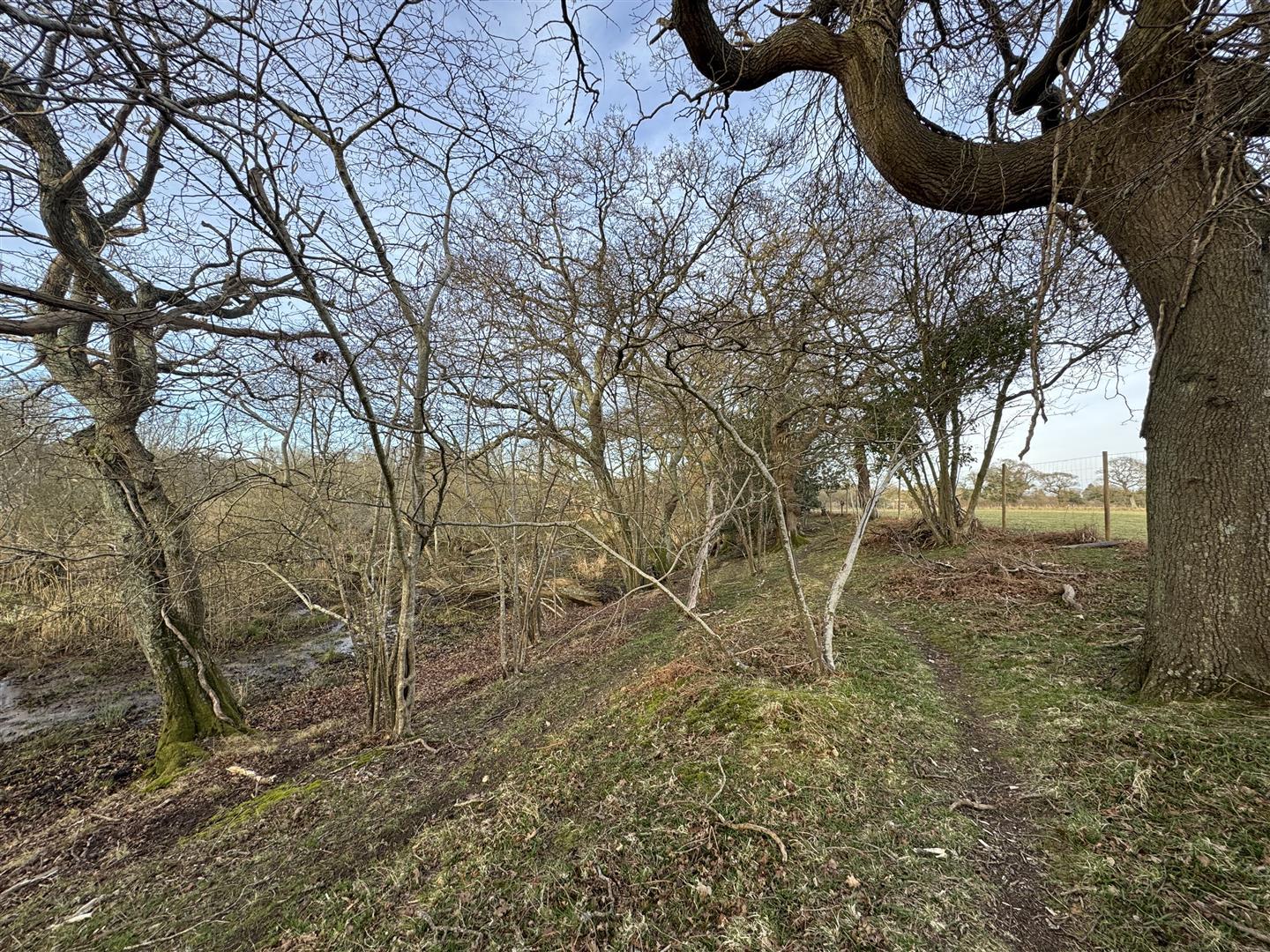 Property Image f907d074-6c57-4f1b-83d9-55e3efdfb263