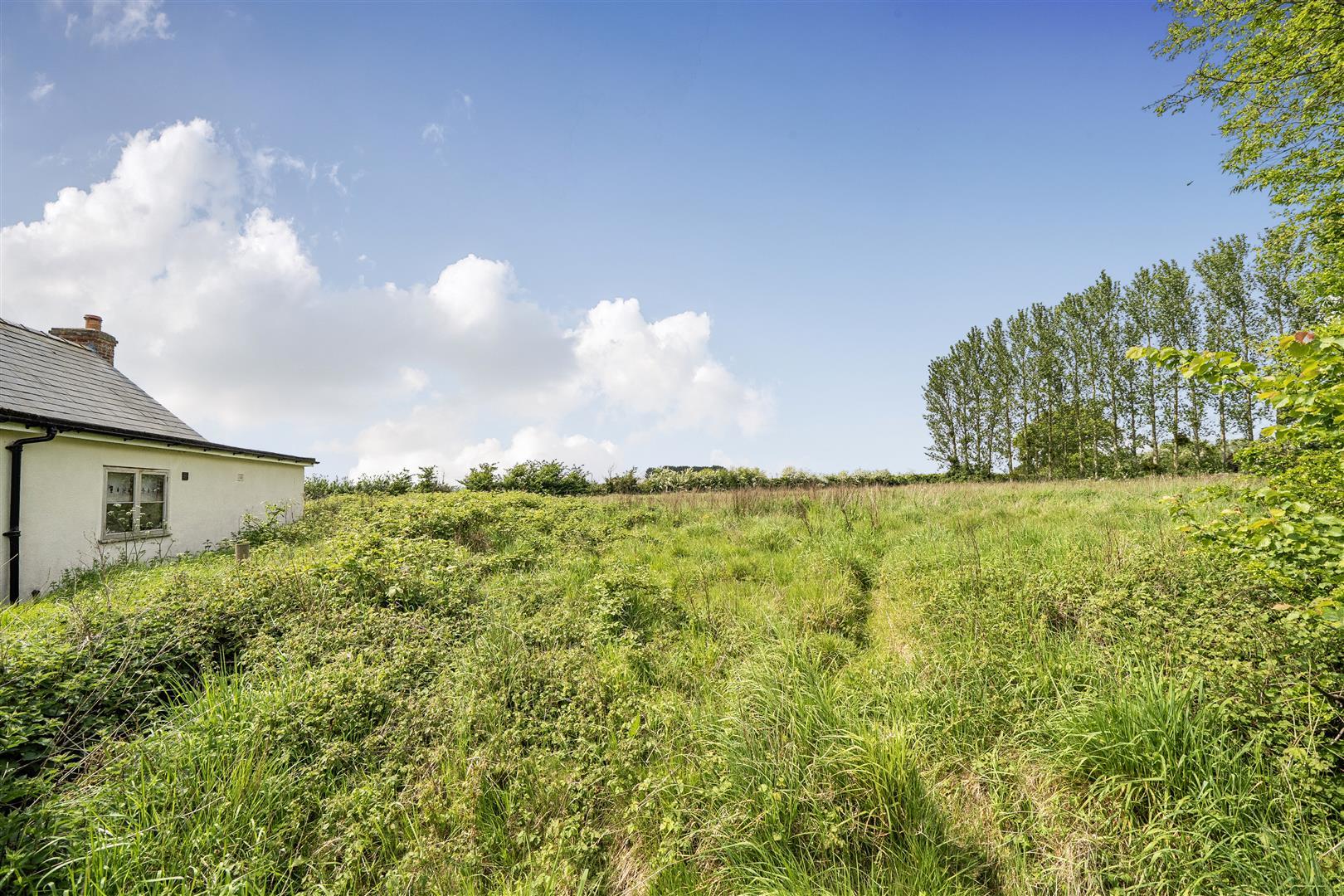 Property Image f92b8fe4-b1ba-475d-9136-3442a886a86b