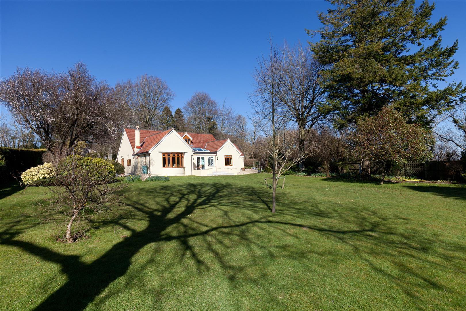 Property Image f92f79eb-1583-45fd-8751-9f60ce4a6374