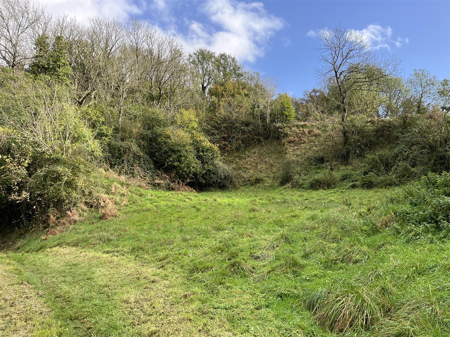 Property Image f942ac34-9cf9-40d1-91d5-530e316d4911