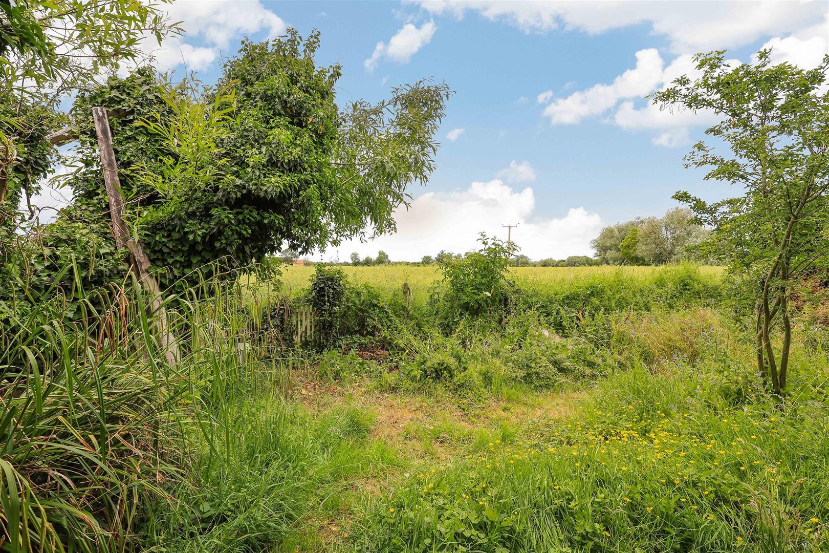 Property Image f953a1fe-8d7f-4ad9-a667-2ce3932da997