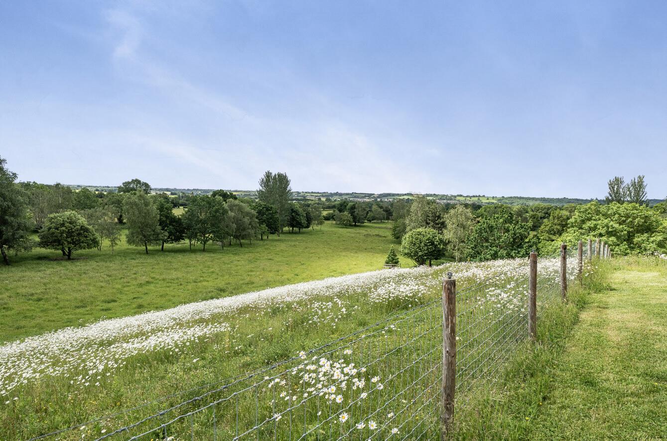 Property Image f95ffb24-e564-4d27-ab7f-baa716fd7331