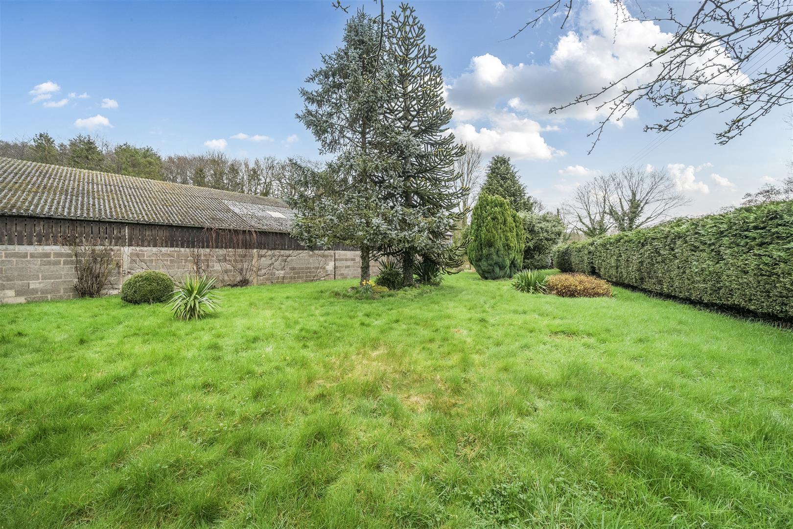 Property Image f9bdb121-a440-4455-9404-4a615c3a8dd6