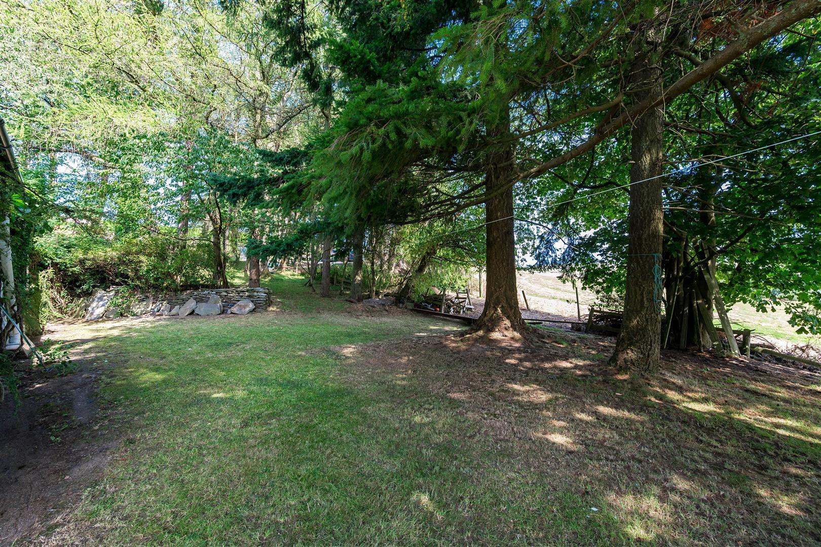 Property Image f9c2cebd-40f8-4497-9098-a5394e87441b