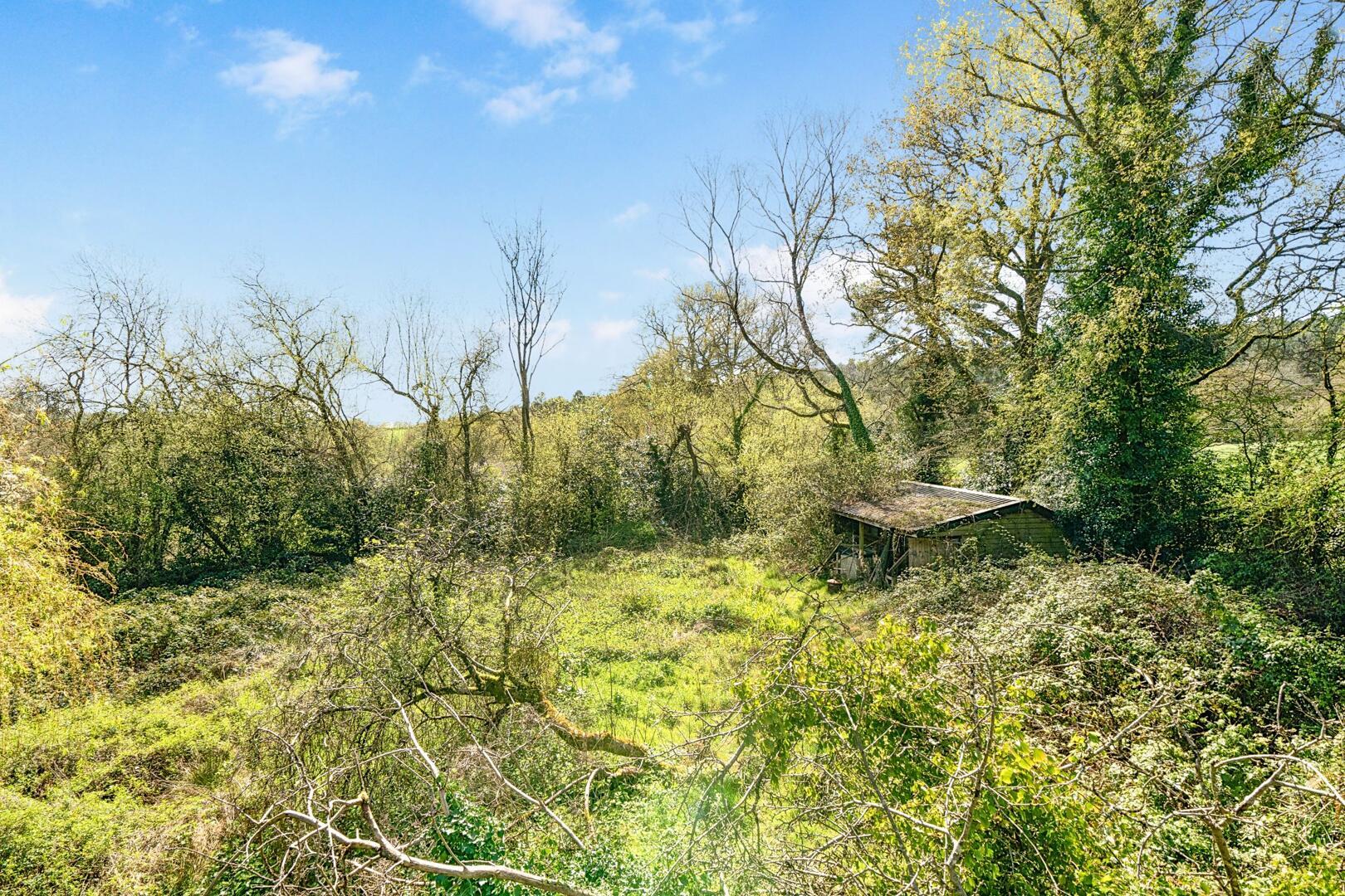 Property Image f9e58d10-a9f8-494f-86a5-0958ce82f314