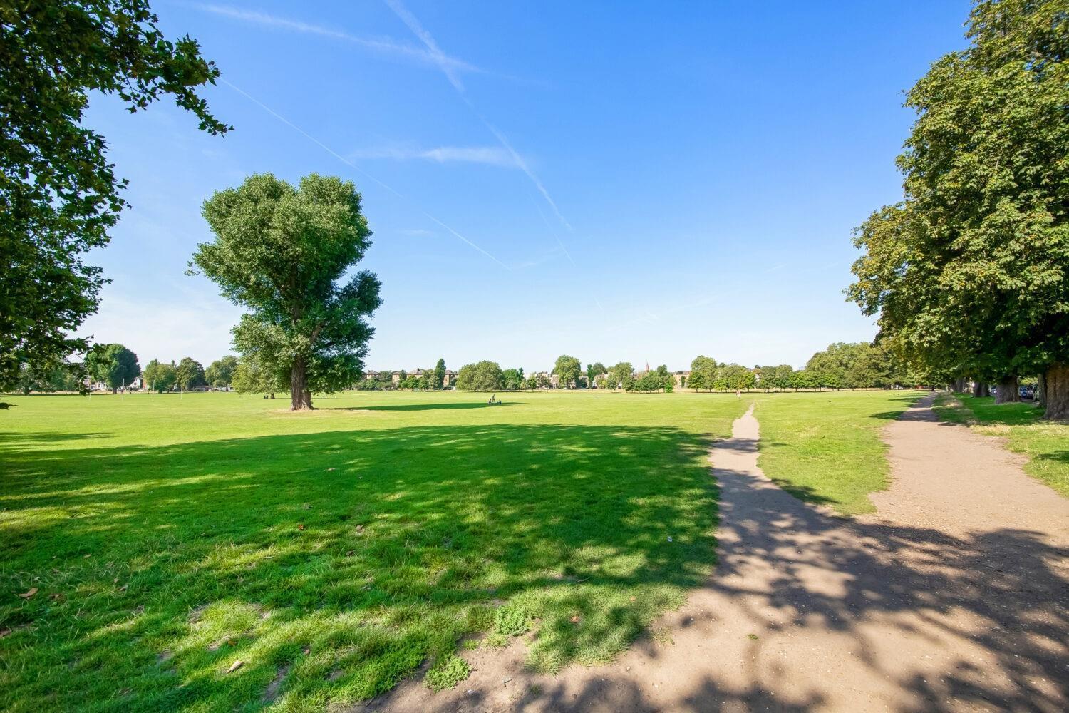 Property Image fa0a03fe-e896-47bf-9dff-ed461e4fcade