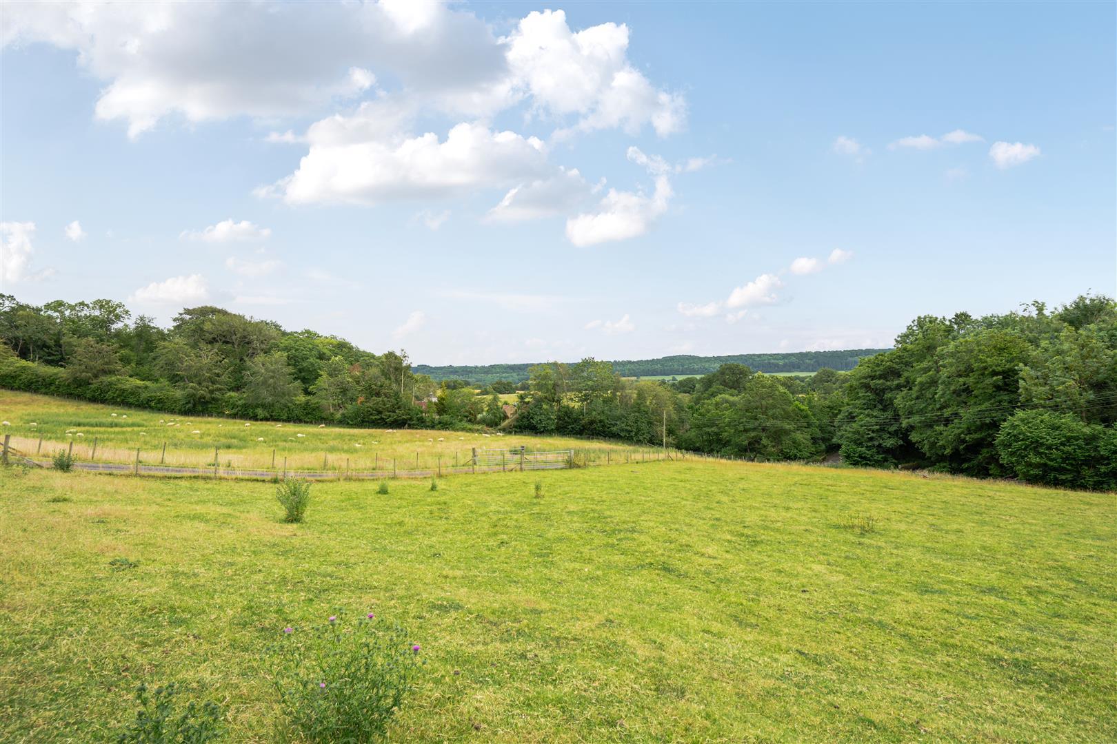 Property Image fa0d6785-c984-4d50-9c6d-d6141dec5045