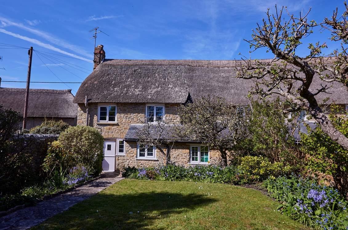 Property Image fa23ee4a-1529-4d62-8fc0-f762d7b92a1c