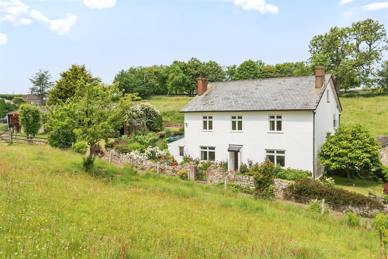 Property Image fa2f8e8a-9396-4772-89c0-03d526b63326