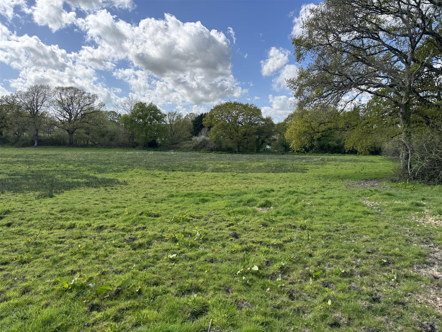 Property Image fa37f906-6457-4cc0-92f6-b95def6f0993