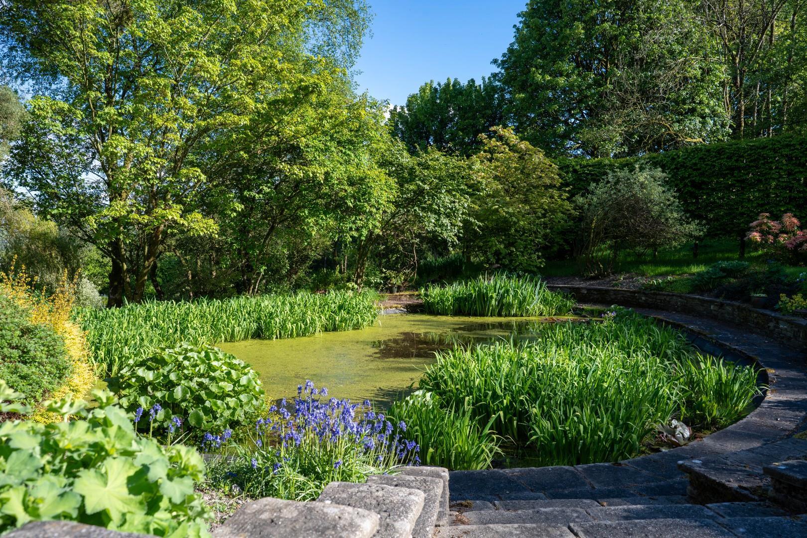 Property Image fa802b37-baea-400c-8bc4-93febf602d4e