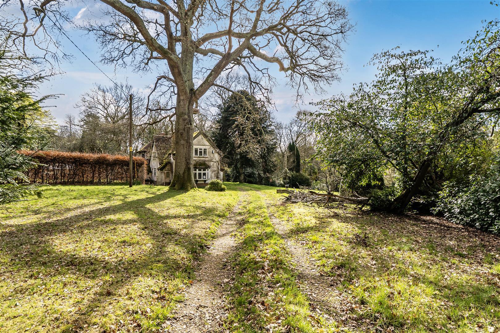 Property Image fac05214-0a27-44d9-b746-056090568c5a
