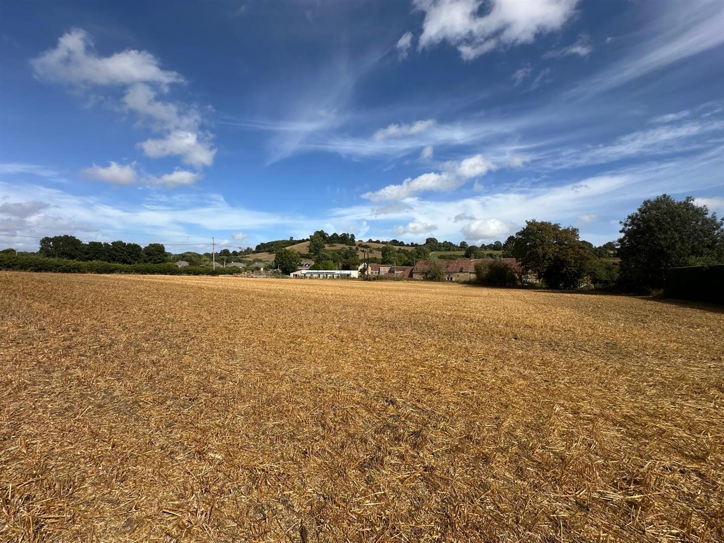 Property Image fac1f9dd-e32a-4684-a9bb-20c960f51ad8
