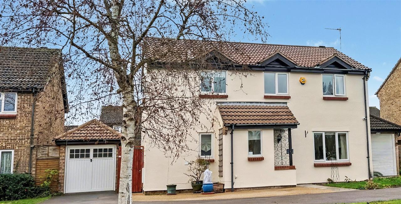 Property Image fac45361-3e4b-449b-8c29-7ab2ae98c61a