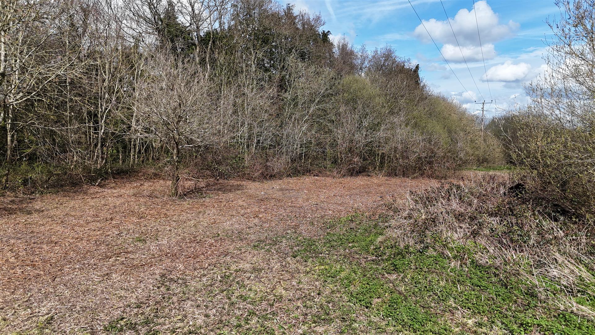 Property Image fae1987e-f84d-4e0d-9719-4aefbd13cd94