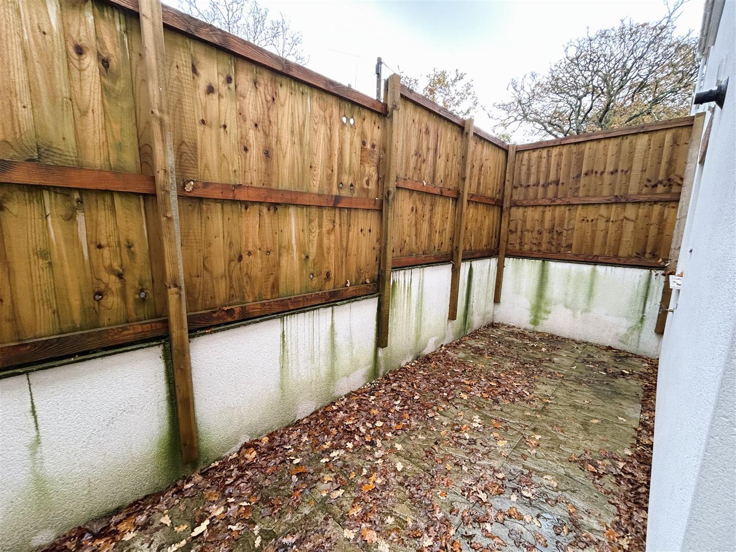 Property Image fbb2e52e-56e1-4160-a0a8-ccb3a021082d