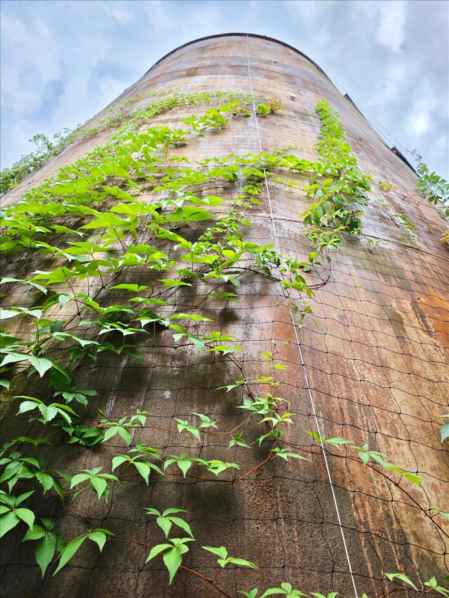 Property Image fbd5c69a-b885-4143-82c7-7e09f2c8bbee