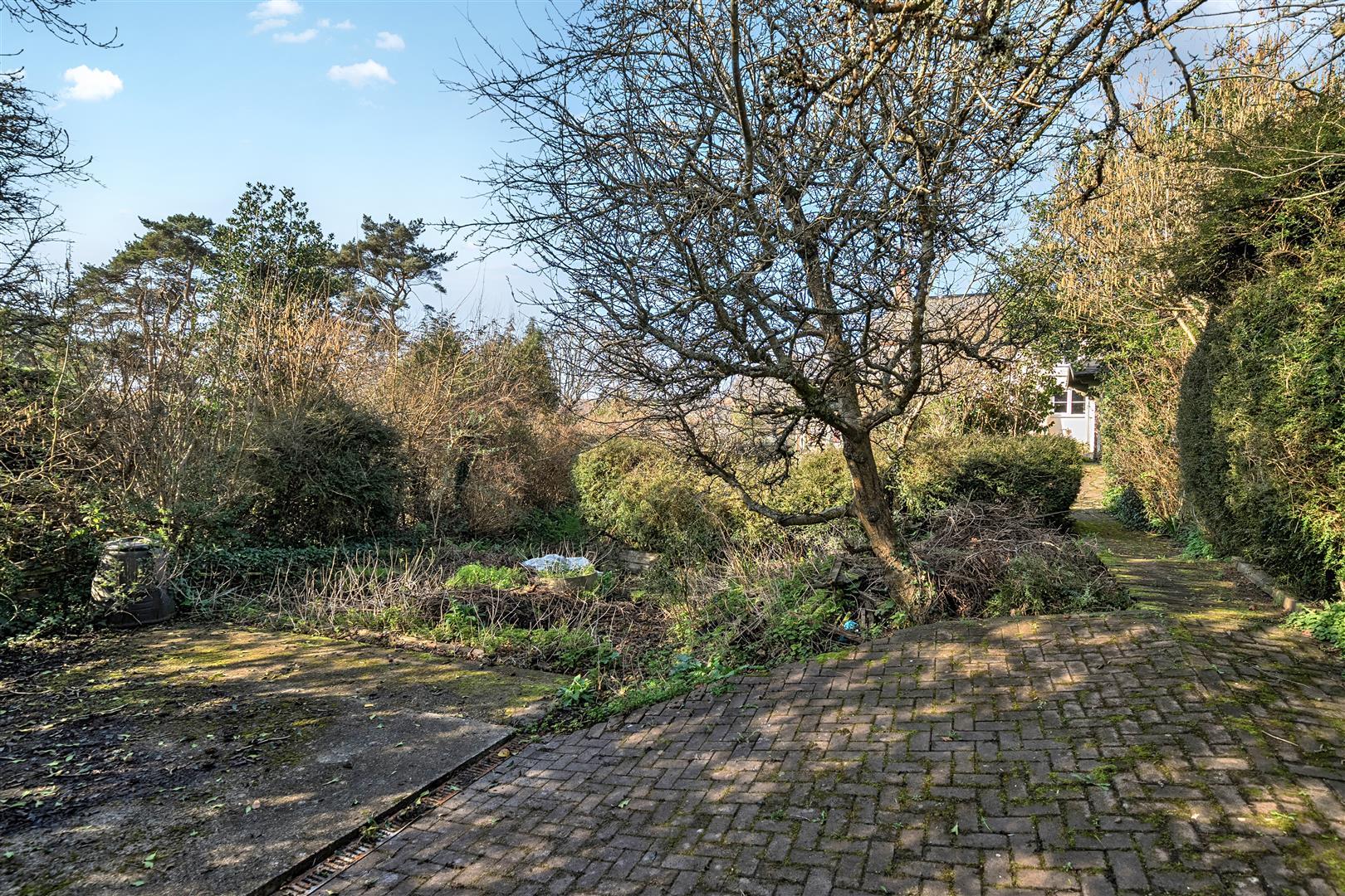 Property Image fbf72a8d-3a1e-4402-94ad-c9430bf78605