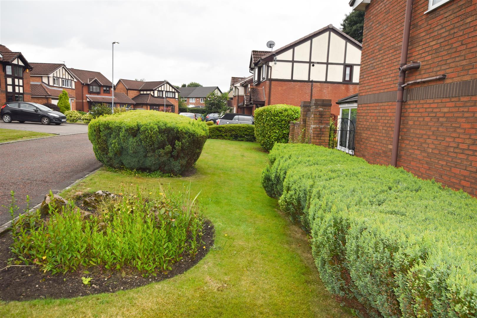 Image 15
