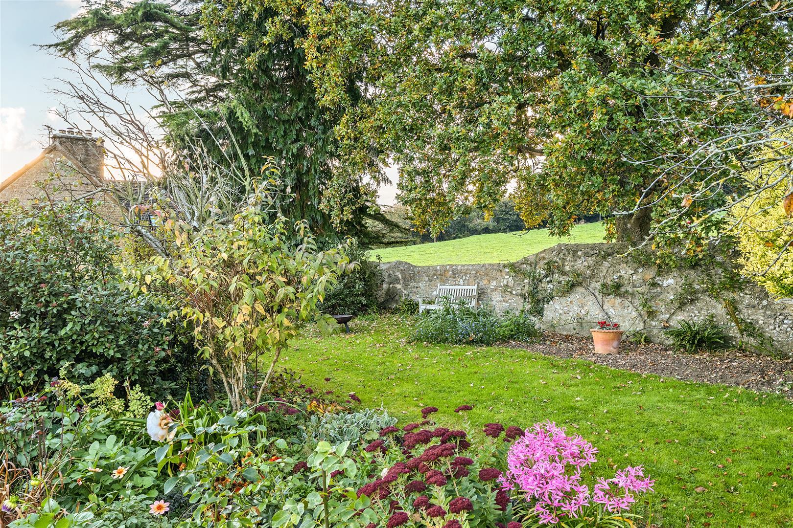 Property Image fc6d9d72-8592-4b32-a8bc-4bda4fa67f9c
