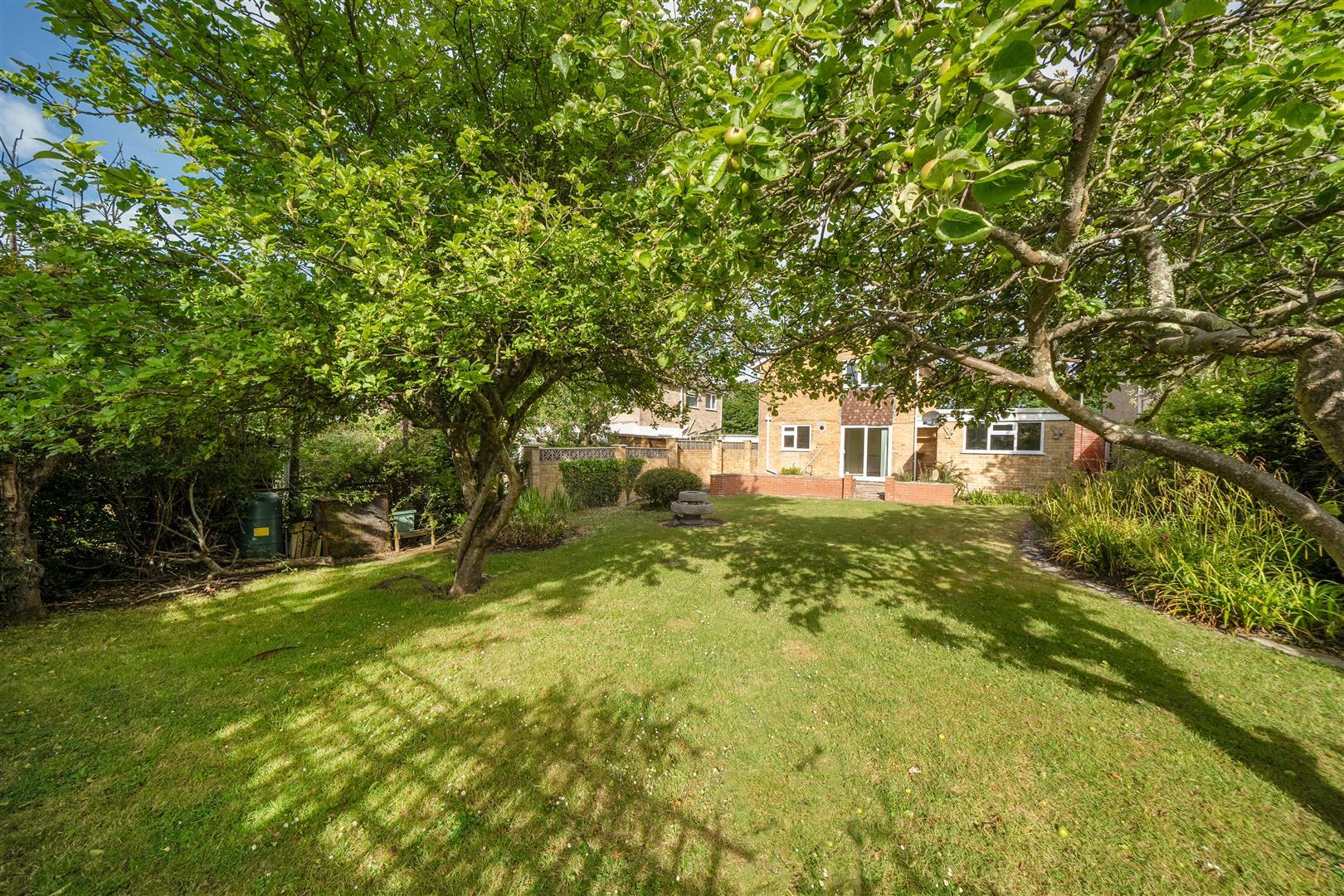 Property Image fc759e1c-8500-4153-94b0-fae9e5b8e167