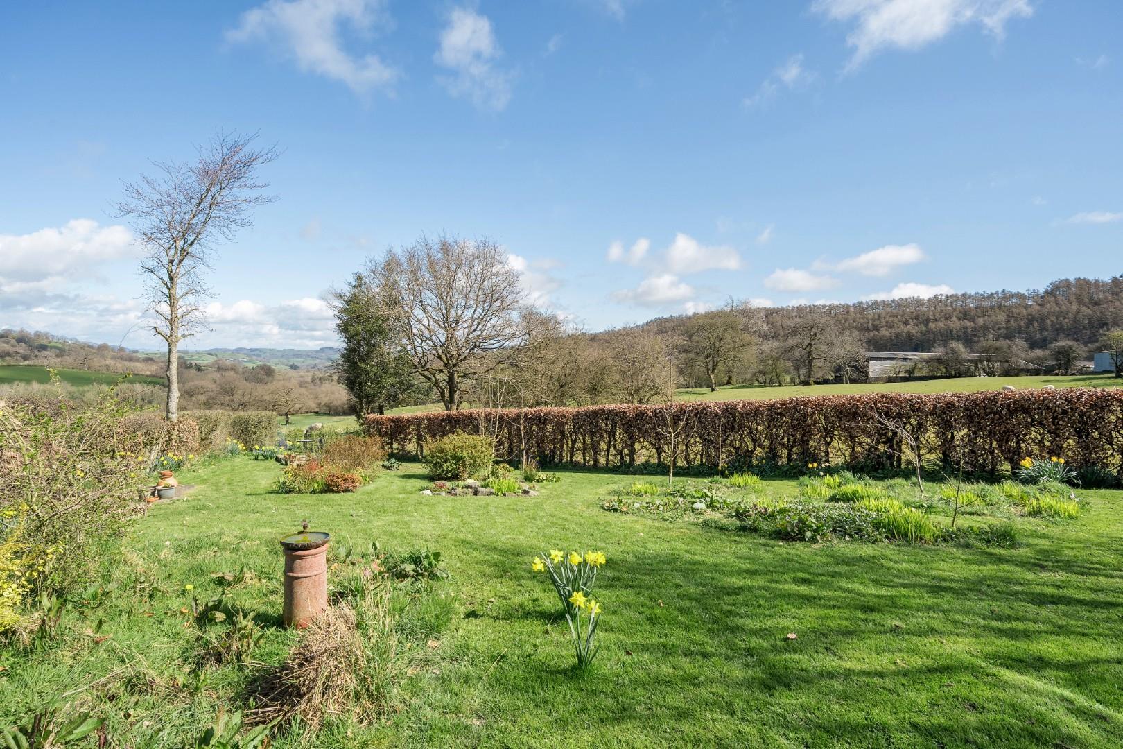 Property Image fcab2ebb-c314-4e82-9e22-70765d9a80eb