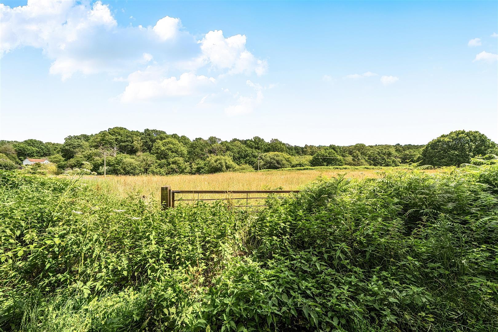 Property Image fcb6886b-ee85-4a97-955d-d6b29abcad54
