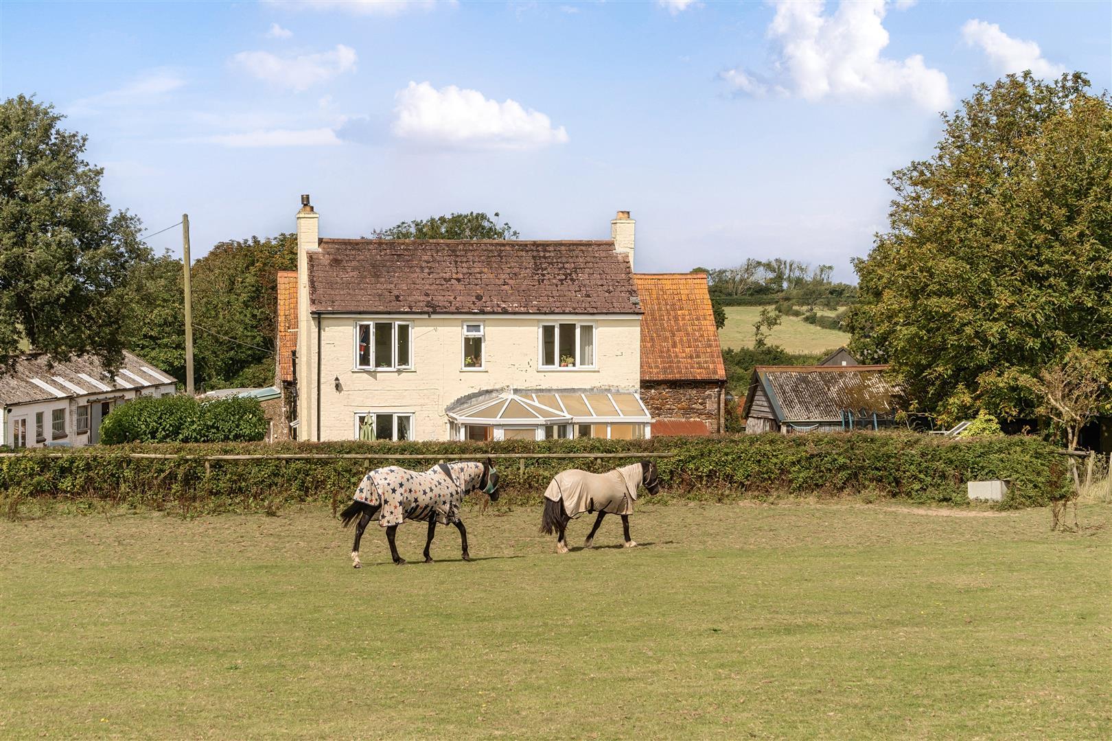 Property Image fcb9a3a2-47d3-4b63-b521-12ada26576c1